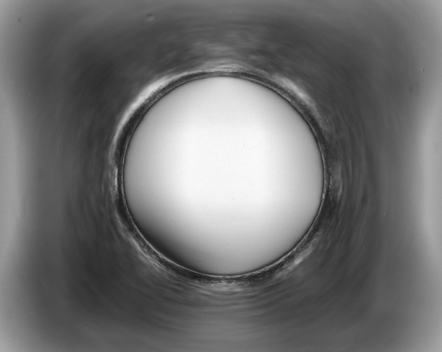 X0000086281414200704262027