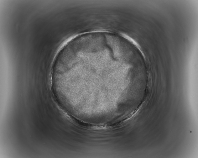 X0000086281415200704262027