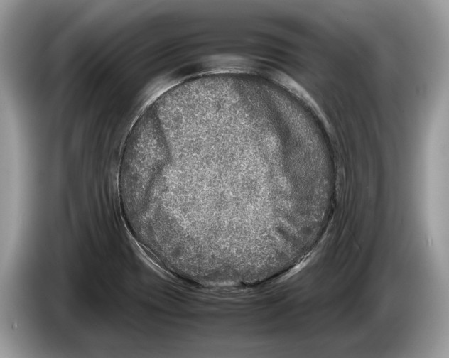 X0000086281417200704262027