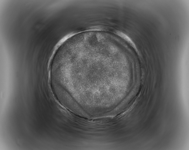 X0000086281419200704262027