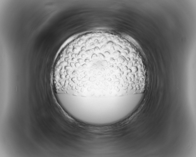 X0000086281420200704262027