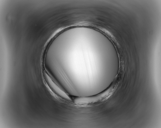 X0000086281422200704262027