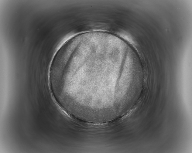 X0000086281423200704262027