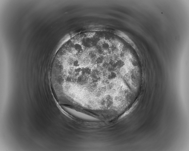 X0000086281425200704262027