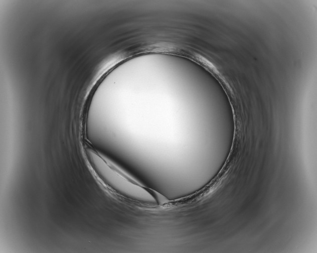 X0000086281426200704262027