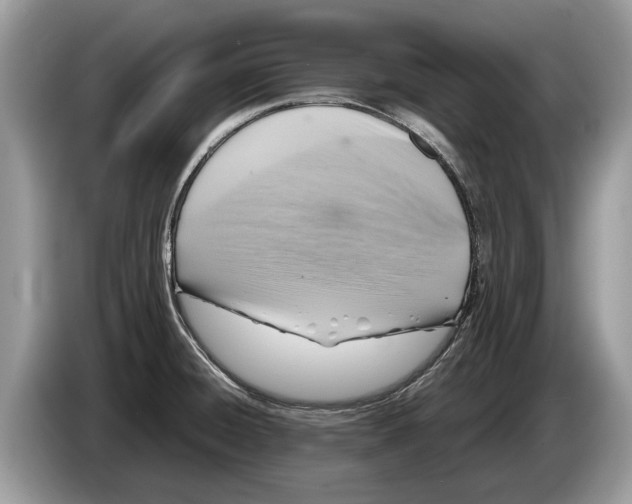 X0000086281428200704262027