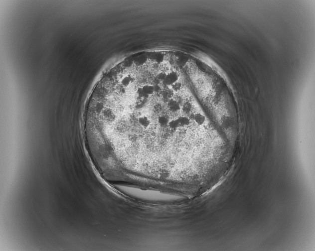 X0000086281429200704262027