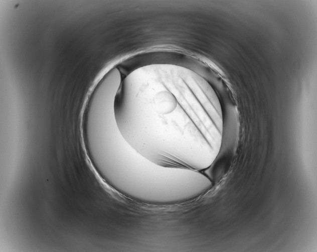 X0000086281430200704262027