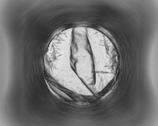 X0000086281433200704262027