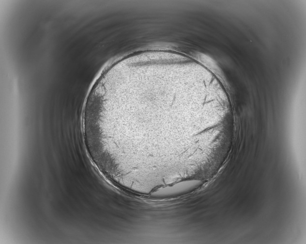 X0000086281436200704262027