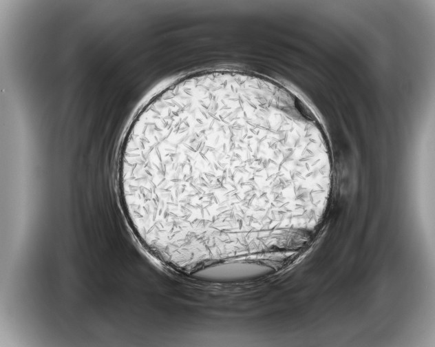 X0000086281437200704262027
