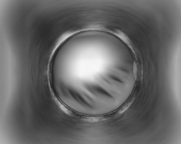 X0000086281438200704262027