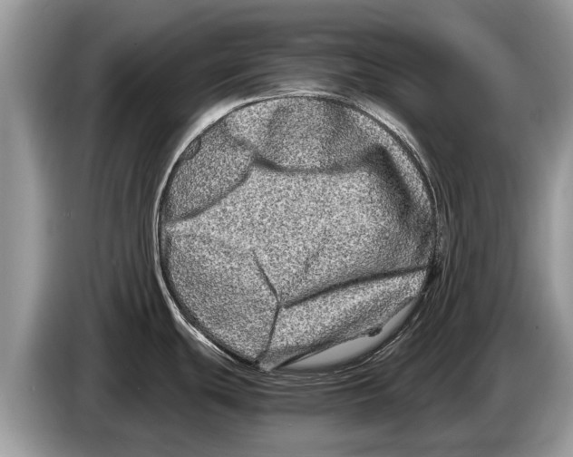 X0000086281439200704262027