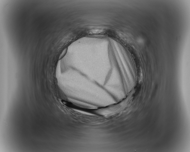 X0000086281441200704262027