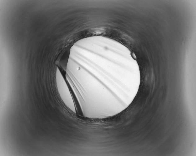 X0000086281442200704262027