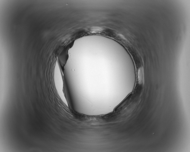 X0000086281443200704262027