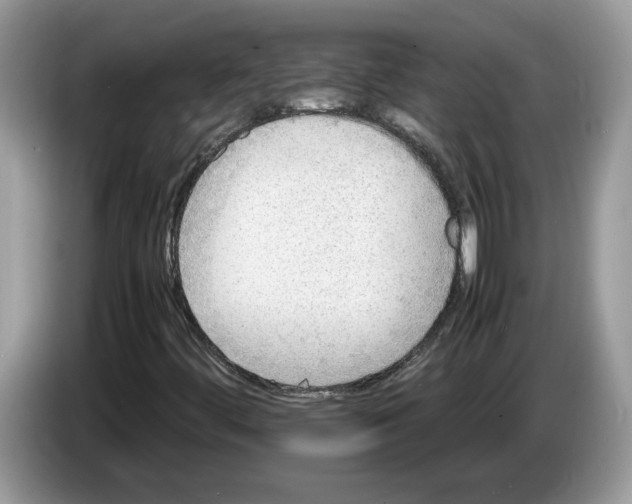 X0000086281444200704262027