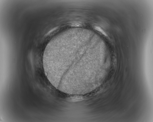 X0000086281446200704262027