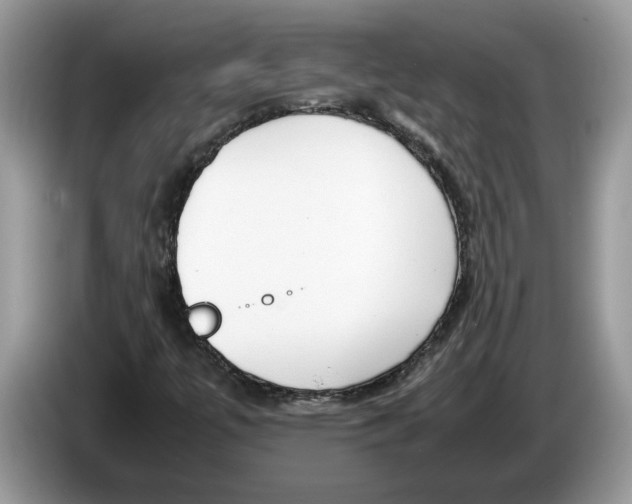 X0000086281447200704262027