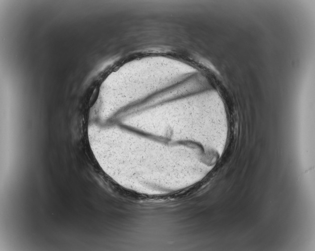 X0000086281448200704262027