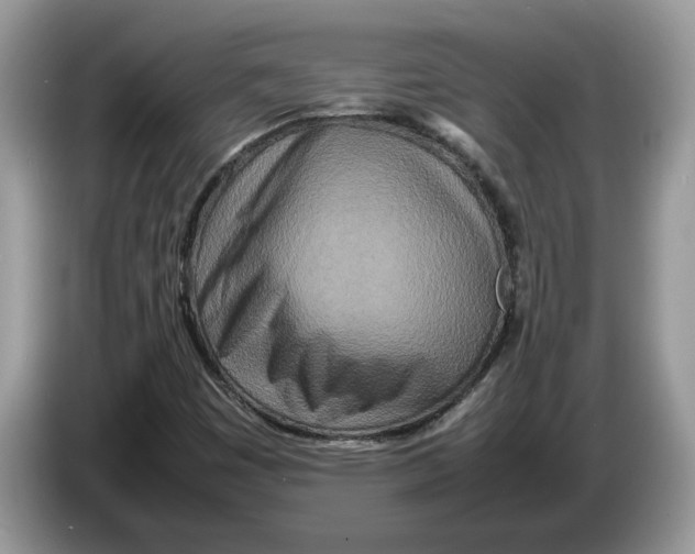 X0000086281449200704262027