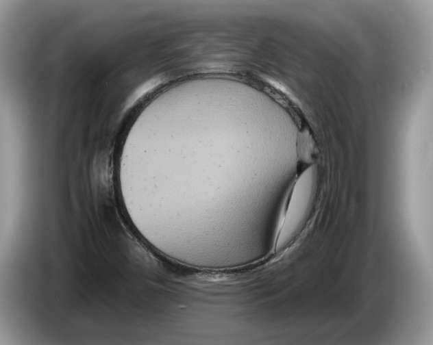 X0000086281450200704262027