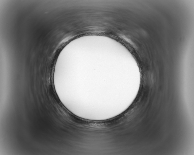 X0000086281451200704262027
