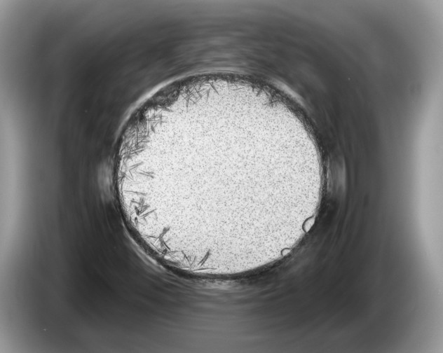 X0000086281452200704262027