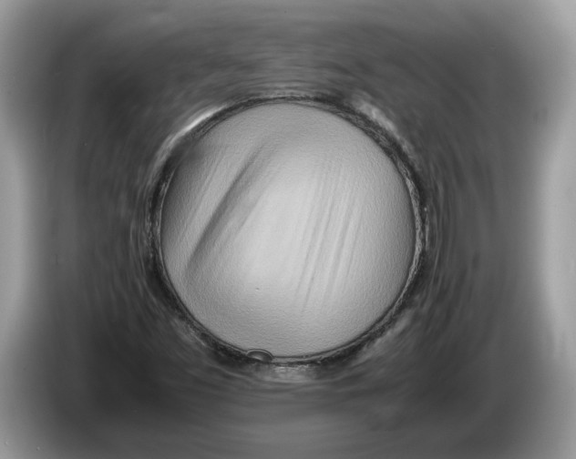 X0000086281453200704262027