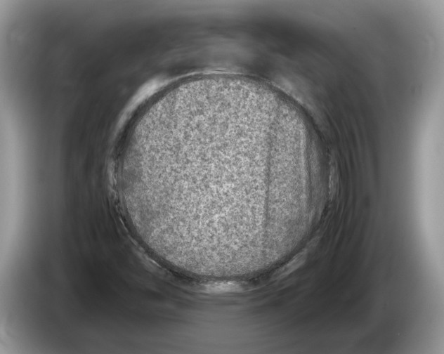 X0000086281454200704262027