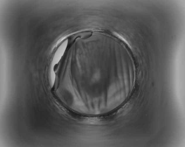 X0000086281455200704262027