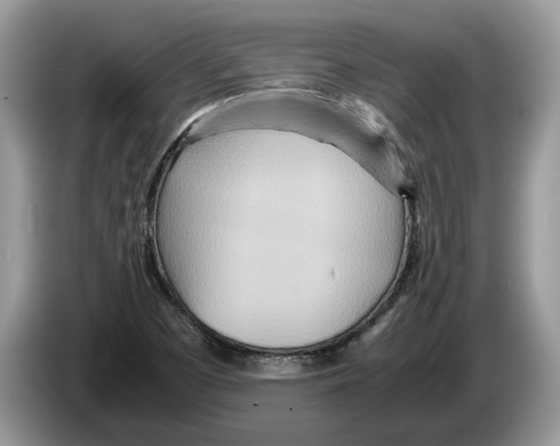 X0000086281457200704262027