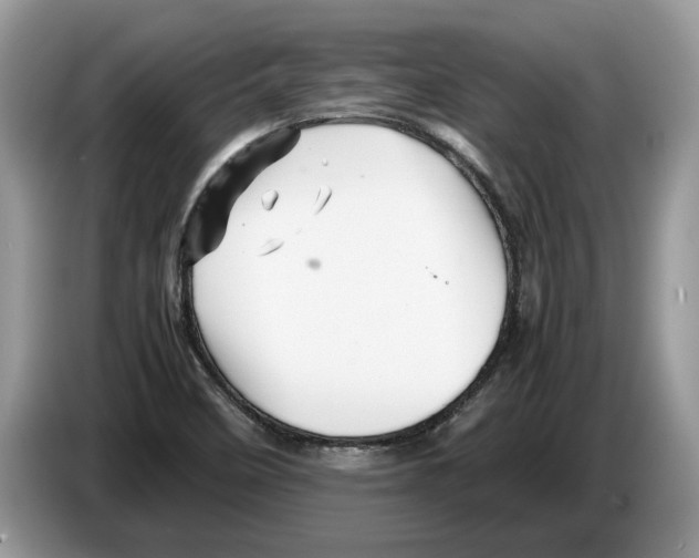 X0000086281458200704262026