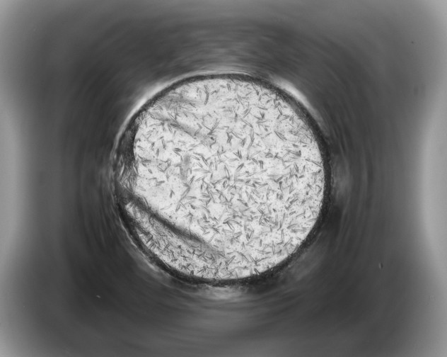 X0000086281460200704262026