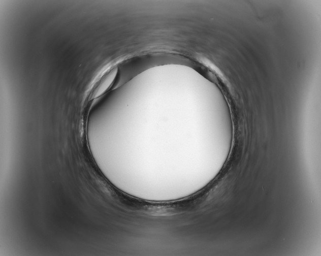 X0000086281461200704262026