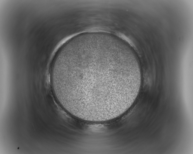 X0000086281462200704262026