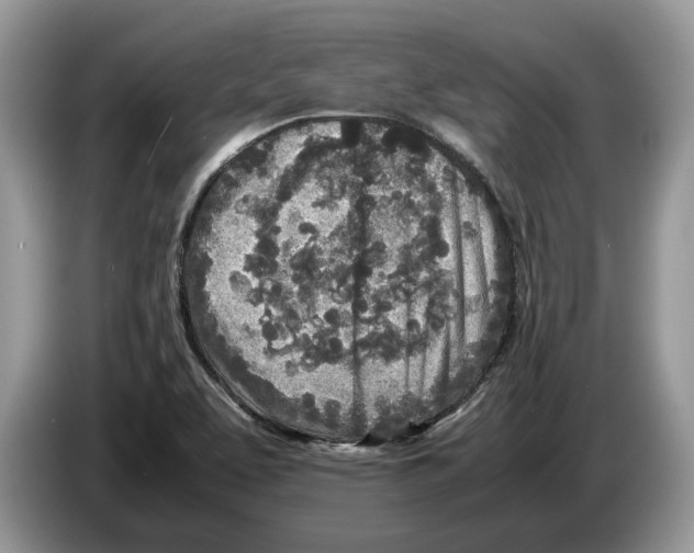 X0000086281463200704262026