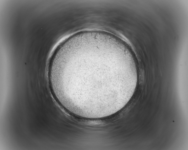 X0000086281464200704262026
