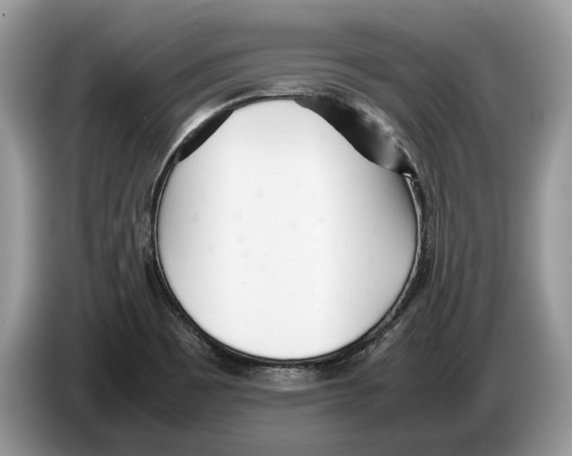 X0000086281465200704262026