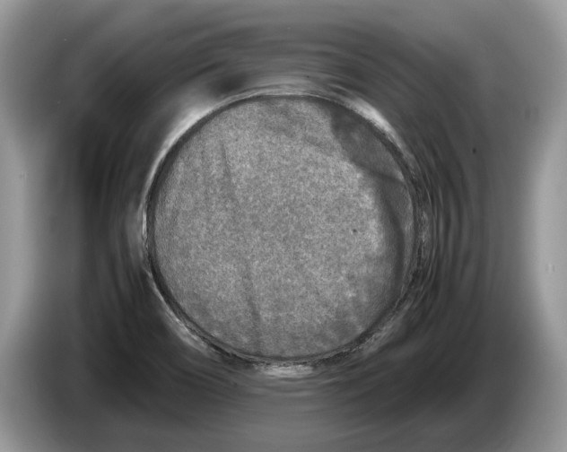 X0000086281466200704262026