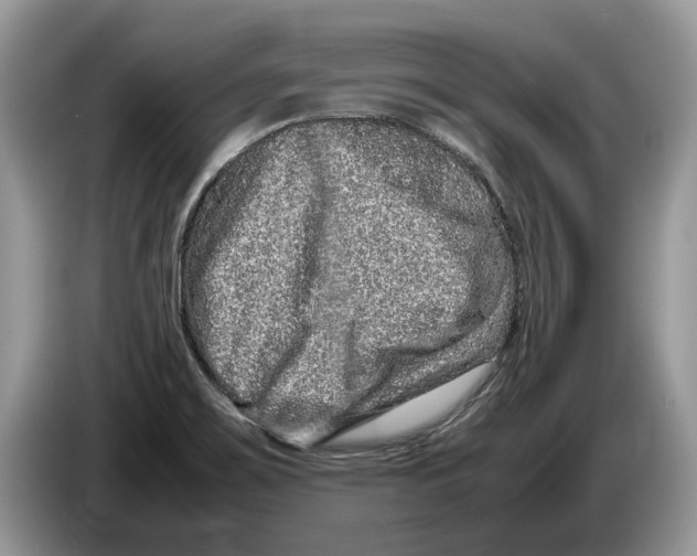 X0000086281467200704262026