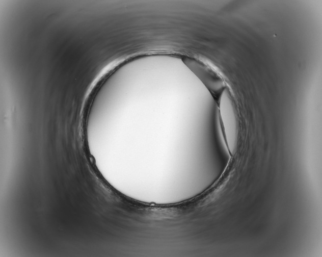 X0000086281469200704262026