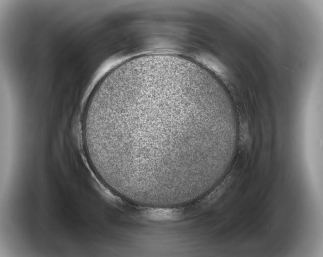 X0000086281470200704262026