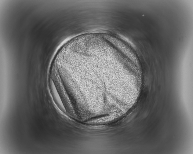 X0000086281471200704262026