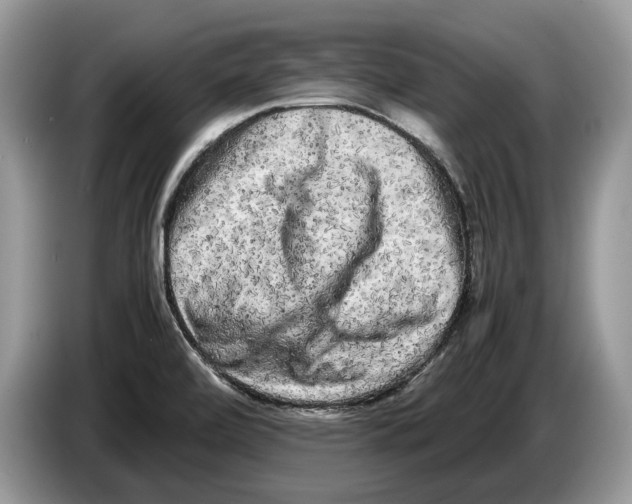 X0000086281472200704262026