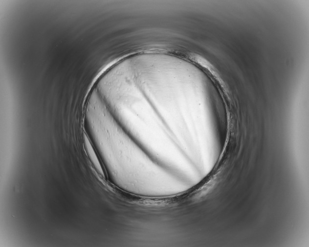 X0000086281473200704262026