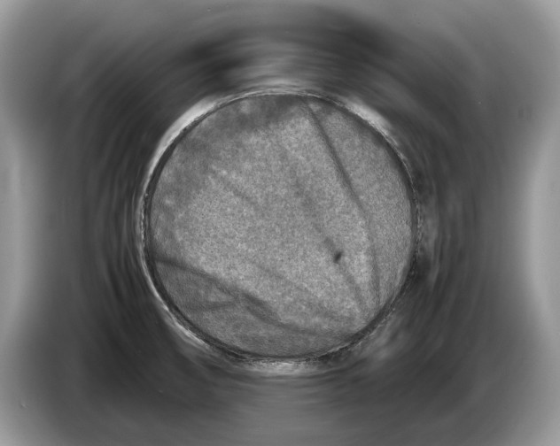 X0000086281474200704262026