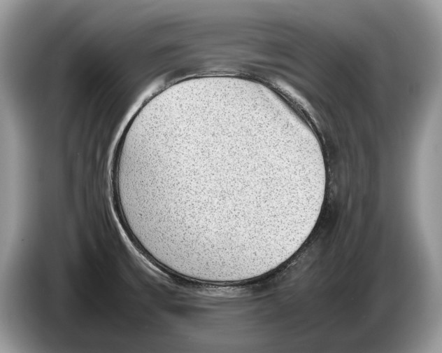 X0000086281475200704262026