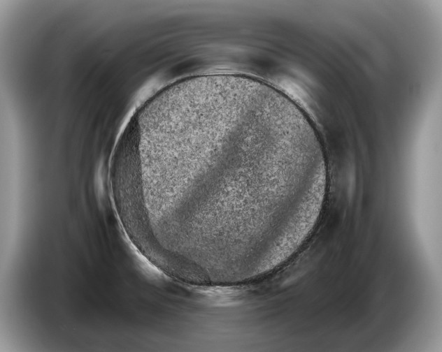 X0000086281476200704262026