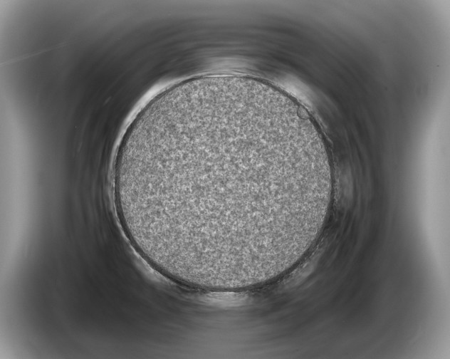 X0000086281478200704262026